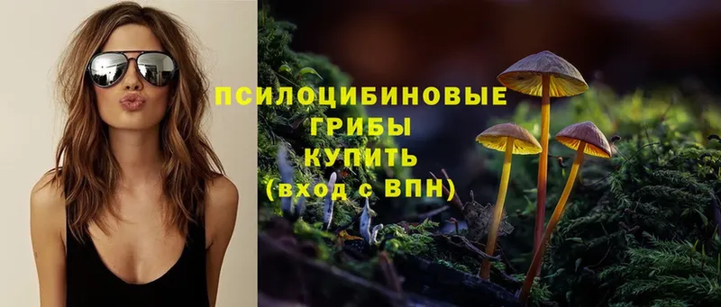 Галлюциногенные грибы Magic Shrooms  купить закладку  Кодинск 